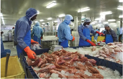 Fish processing factory