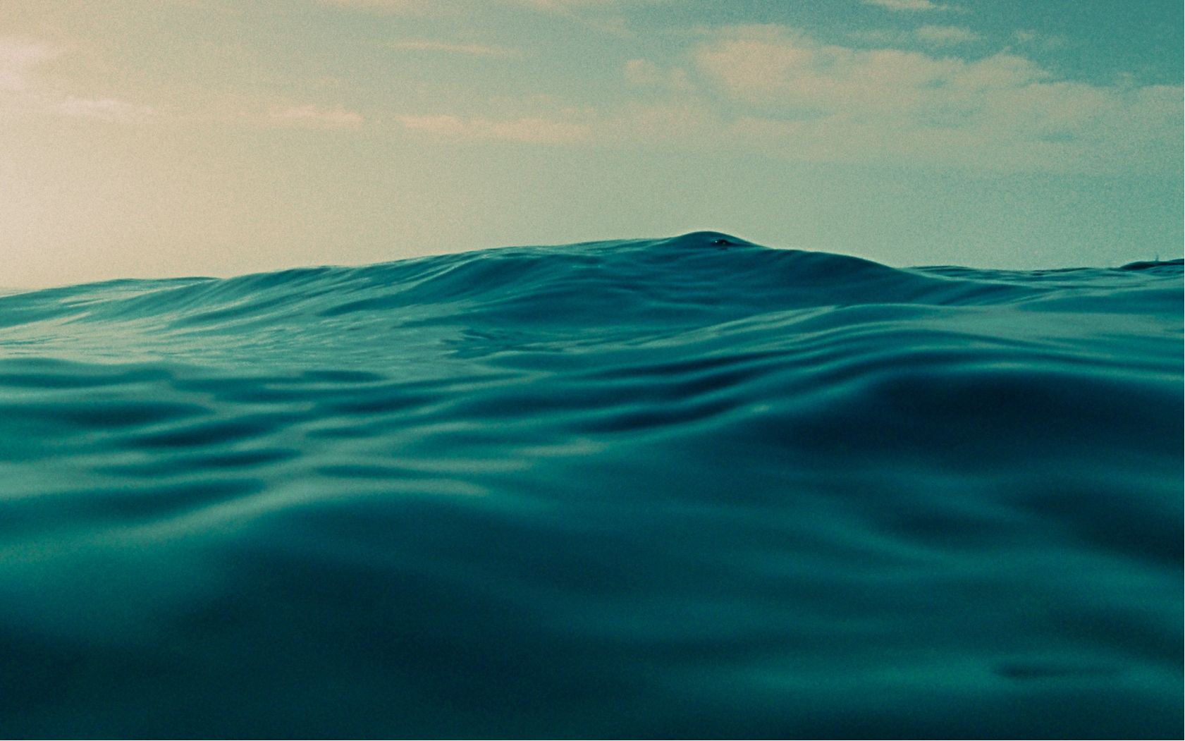 Contact Darim Fish Export