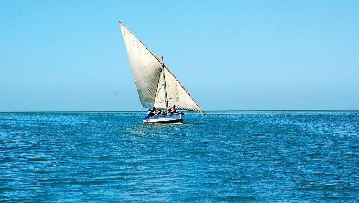 Darim Fish Export facility